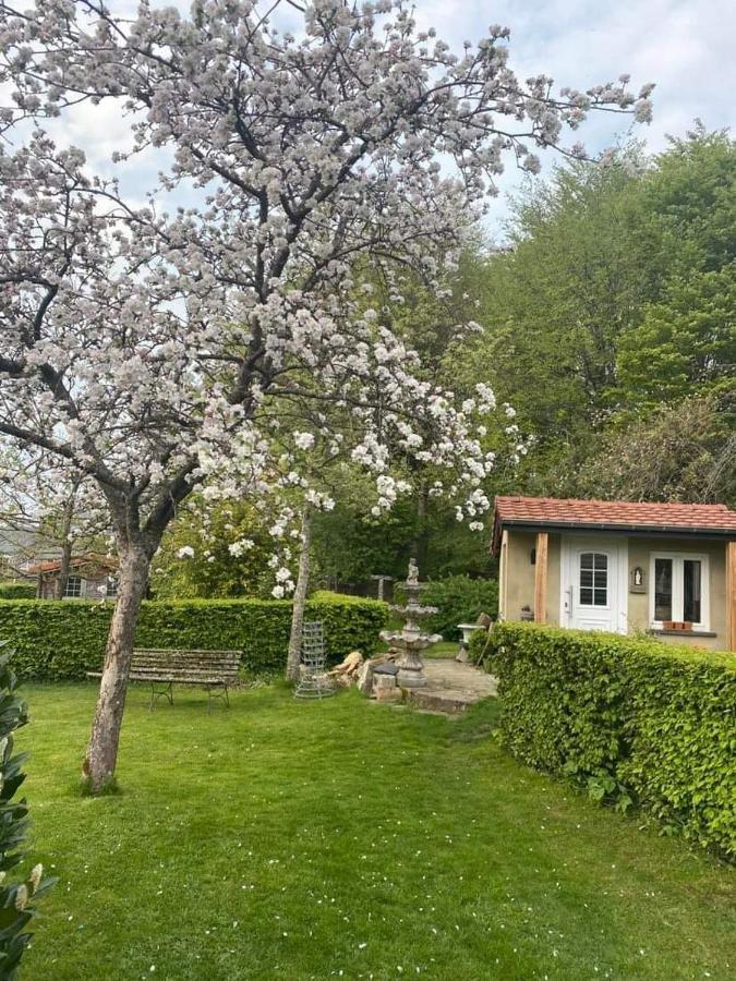 Chez Monsieur Bed and Breakfast Florenville Buitenkant foto